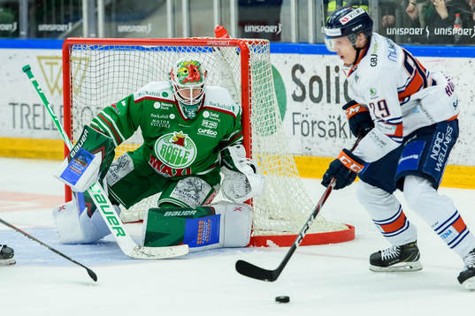 Rögles målvakt Roman Will