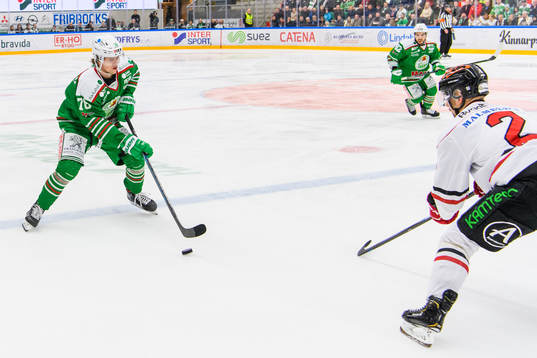 Rögles Dominik Bokk