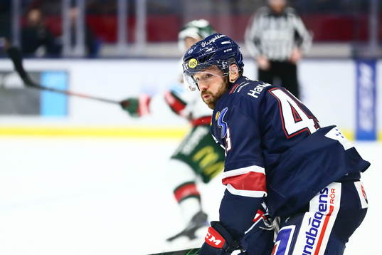 Linköpings Nichlas Hardt