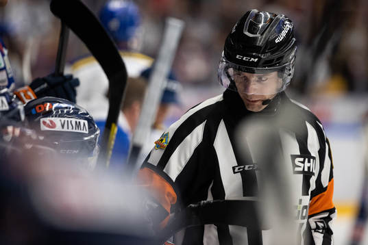 Domare Mikael Andersson