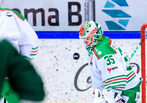 Rögles målvakt Roman Will