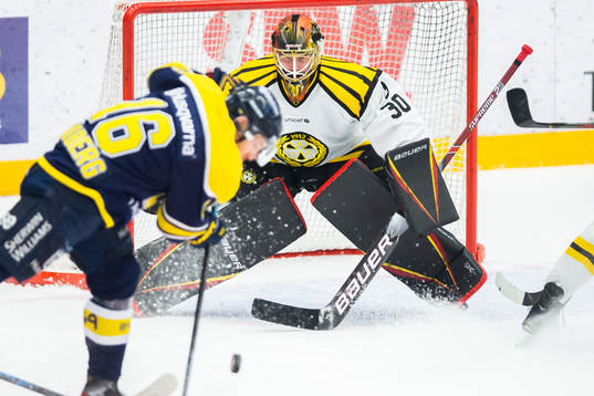 Brynäs målvakt Joacim Eriksson