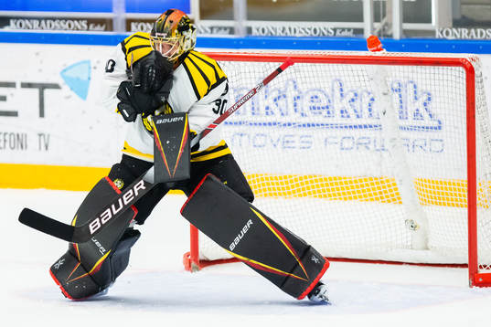 Brynäs målvakt Joacim Eriksson