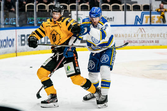 Skellefteås Robin Alvarez och Leksands Sebastian