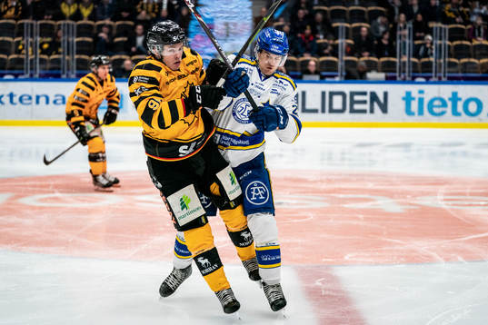 Skellefteås Rickard Hugg och Leksands Sebastian Wännström