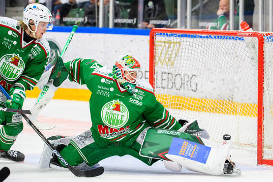 Rögles målvakt Roman Will