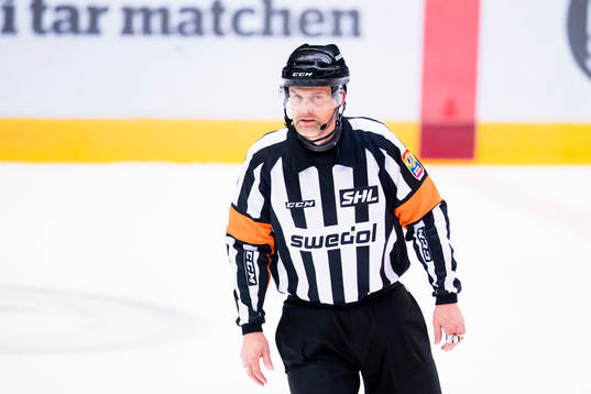 Domare Mikael Nord