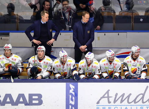 Djurgårdens bås med tränare Robert Ohlsson och