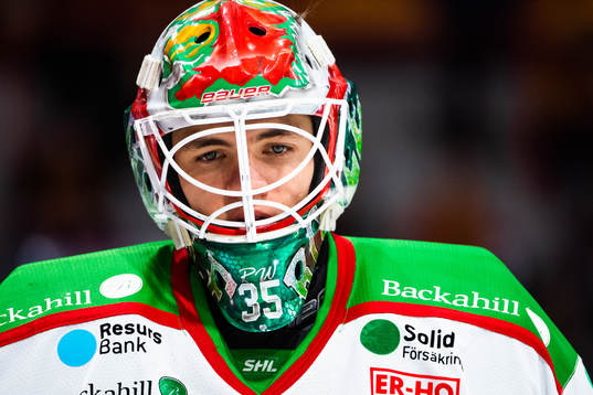 Rögles målvakt Roman Will