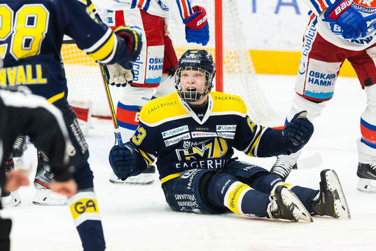 s Zion Nybeck jublar