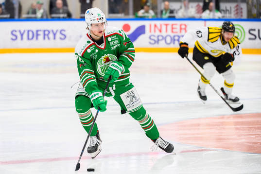 Rögles Dominik Bokk