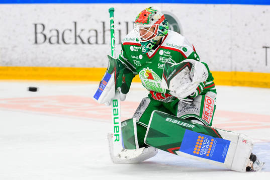 Rögles målvakt Roman Will