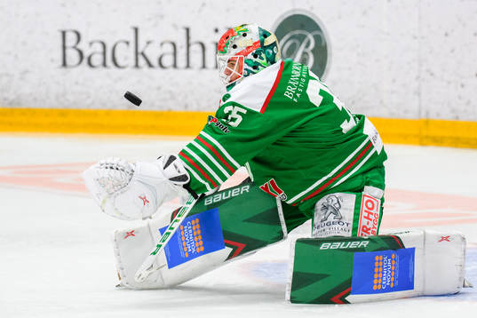 Rögles målvakt Roman Will