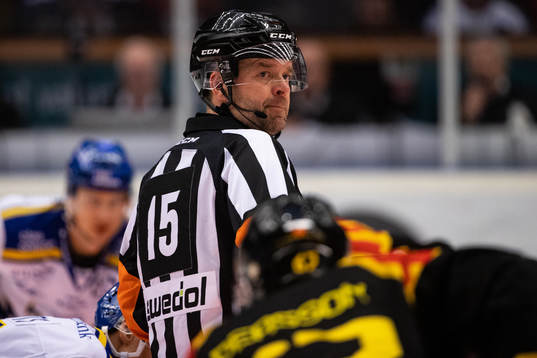 Domare Patrik Sjöberg