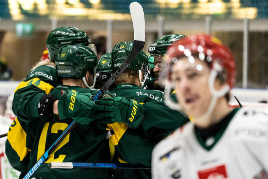Björklöven jublar