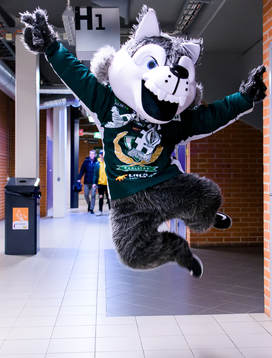 Färjestads maskot Ture Varg