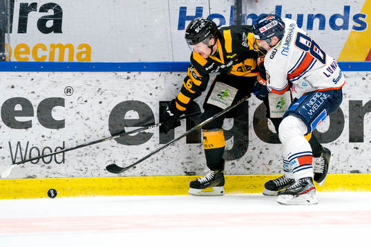 Skellefteås Filip Berglund