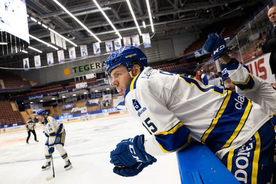 Leksands Matt Carey
