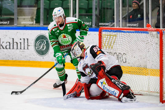 Rögles Dominik Bokk oroar mot Malmö Redhawks målvakt