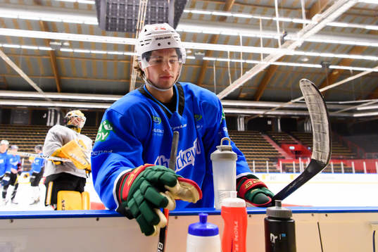 Kevin Fiala, Minnesota Wild