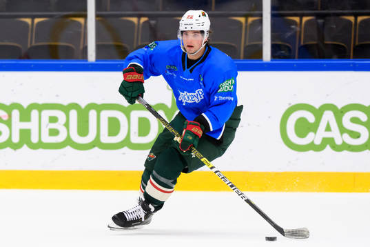 Kevin Fiala, Minnesota Wild