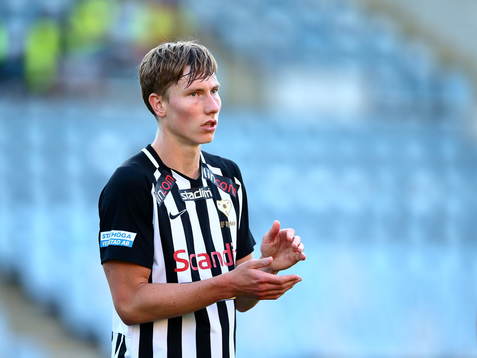 Sylvias Robin Frej
