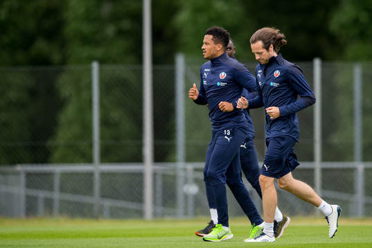 Martin Olsson och Mikkel Mix Diskerud