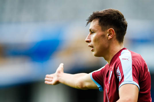 Malmö FFs Anel Ahmedhodzic