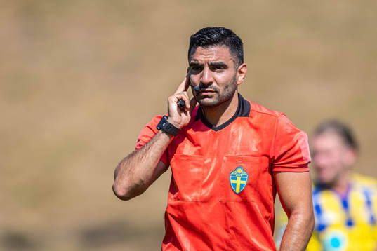 Domare George Jansizian