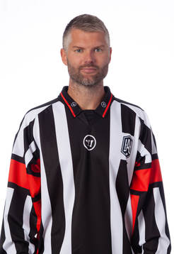 Domare David Bergman