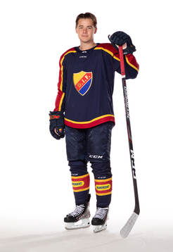 Djurgårdens Alexander Holtz
