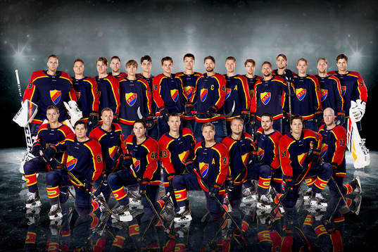 Djurgårdens lagbild Bakre raden fr.v. Niklas Svedberg,