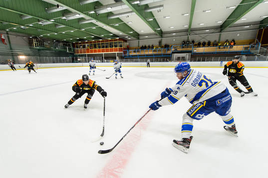 Bla gjennom flere bilder av Ishockey, Skoda Trophy, Bronsmatch, Brynäs - Leksand