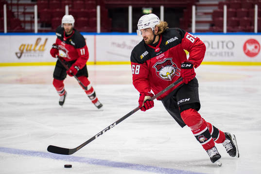 Malmö Redhawks Adam Brodecki