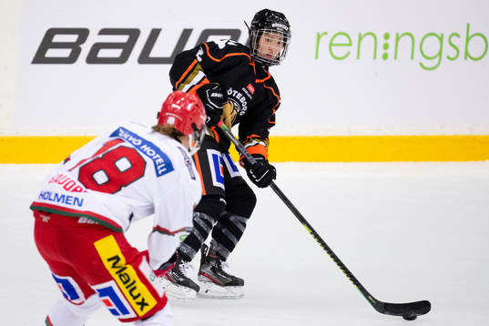 Göteborgs Sena Suzuki