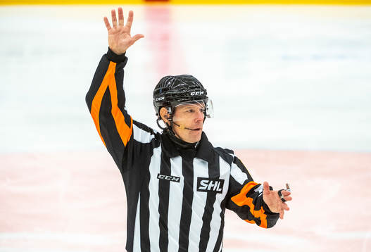 Domare Wolmer Edqvist