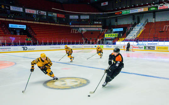 Monitor ERP Arena med tomma läktare med Skellefteås