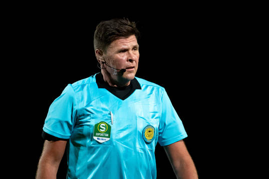 Domare Antti Kanerva