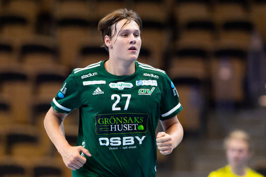 Helsingborgs Johan Palm