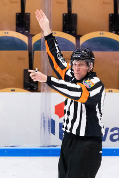 Domare Morgan Johansson