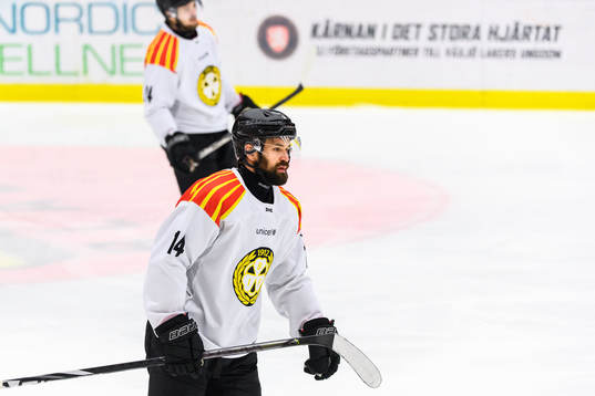Brynäs Johan Alcén deppar