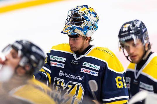 s målvakt Hugo Alnefelt