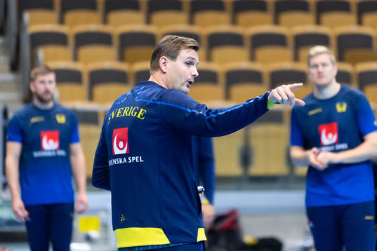 Assisterande förbundskapten Martin Boquist