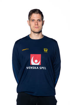Sveriges målvakt Peter Johannesson