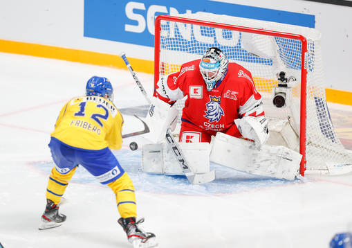 Max Friberg #12, SWE scores goal behind Patrik Bartosak