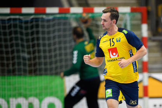 Hampus Wanne of Sweden celebrates