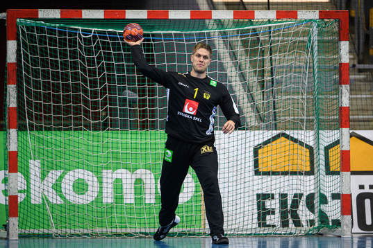 Goalkeeper Peter Johannesson of Sweden