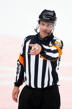 Domare Mikael Nord