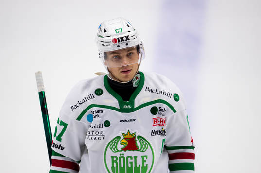 Rögles Leon Bristedt
