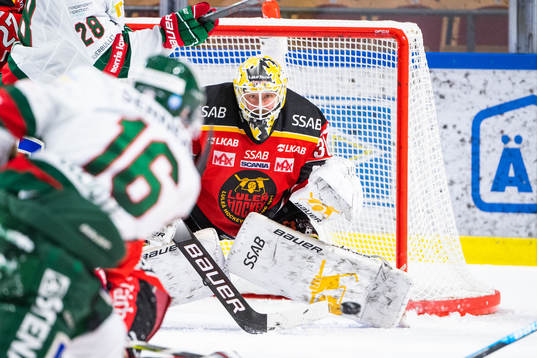 Luleås målvakt David Rautio